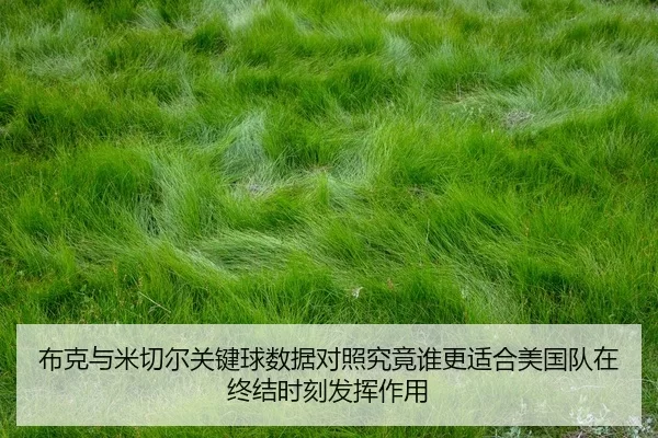 bu-ke-yu-mi-qie-er-guan-jian-qiu-shu-ju-dui-zhao-jiu-jing-shui-geng-shi-he-mei-guo-dui-zai-zhong-jie-shi-ke-fa-hui-zuo-2-243.jpg