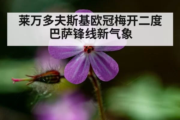 莱万多夫斯基欧冠梅开二度 巴萨锋线新气象