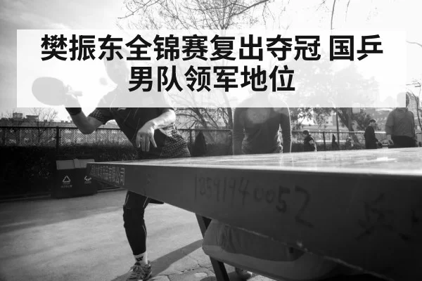 樊振东全锦赛复出夺冠 国乒男队领军地位